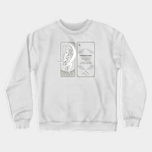 Meteorite Collector "Observed Fall: Schenectady "Hammer Stone" Meteorite Crewneck Sweatshirt